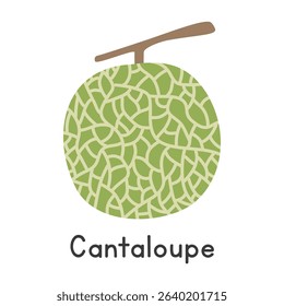 Cantaloupe flat vector illustration. Cantaloupe or muskmelon cartoon clipart style isolated on white background. Also known as rockmelon, spanspek, sweet melon. Common fruit, Melon and Gourd concept