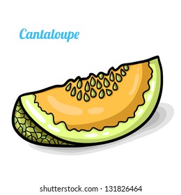 Cantaloupe, fresh fruits. Colorful cartoon. Easily editable vector. Fruits on the white background. Isolated vector.