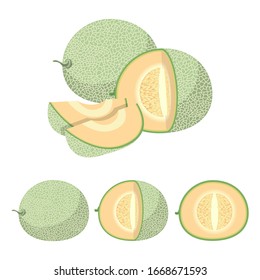Cantaloupe fruit vector design illustration isolated on white background