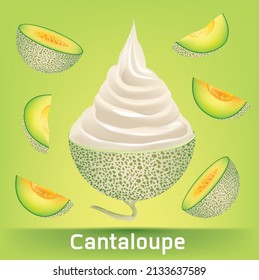 Cantaloupe fruit Yogurt Ice Cream.illustration vector