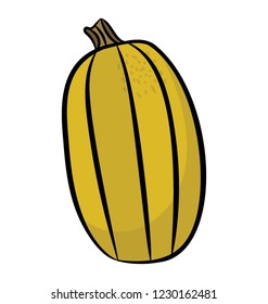 Cantaloupe icon vector, fruit