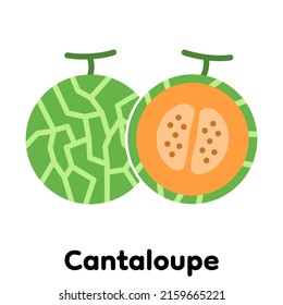 Cantaloupe Icon, Vector, Illustration .