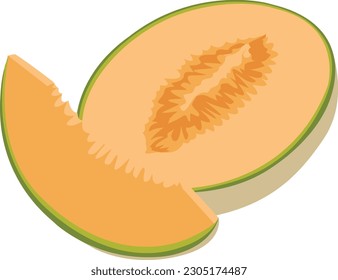 Cantaloupe Illustration, Cantaloupe Vector Art, Cantaloupe Fruit