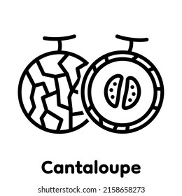 Cantaloupe linear icon, Vector, Illustration.