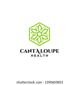 Cantaloupe Logo Flower vector Design