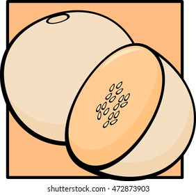 cantaloupe melon