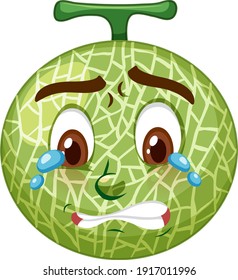 Cantaloupe melon cartoon character with facial expression illustration