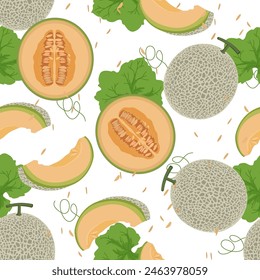 Cantaloupe melon cut in half, whol, leaves, and slices with seeds on the background, seamless pattern. Repetitive illustration of summer autumn fruits.