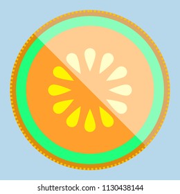 Cantaloupe melon fruit halved in a simple minimalism vector art style