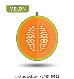 Cantaloupe melon, fruit on white background. Flat design style. vector illustration.