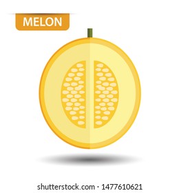 Cantaloupe melon, fruit on white background. Flat design style. vector illustration.