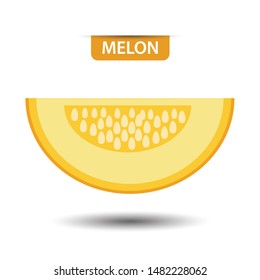 Cantaloupe melon, fruit on white background. Flat design style. vector illustration.
