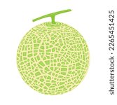 Cantaloupe melon, fruit vector illustration 10
