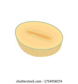 Cantaloupe Melon, fondo de iluminación del vector de la fruta