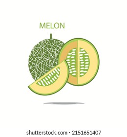 Cantaloupe melon, fruit vector illustration