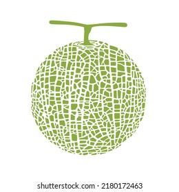 Cantaloupe melon, fruit vector illustration 10