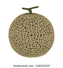 Cantaloupe melon, fruit vector illustration 10