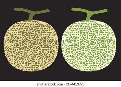 Cantaloupe melon, ObstVektorgrafik 10