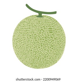 Melón cantaloupe, ilustración del vector de la fruta 10