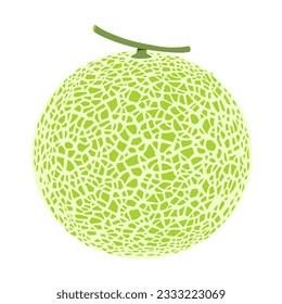 Cantaloupe melon, fruit vector illustration 10