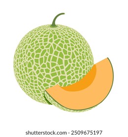 Melão cantalupo, ilustração do vetor de frutas 10