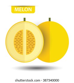 Cantaloupe melon, fruit vector illustration