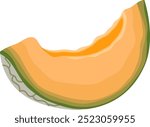 Cantaloupe Melon or Honeydew Melon Sliced Illustration Isolated on White Background