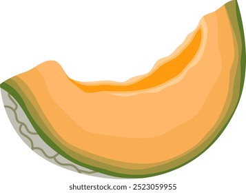 Ilustração em fatias de melão de cantaloupe ou melão de melada isolada sobre fundo branco