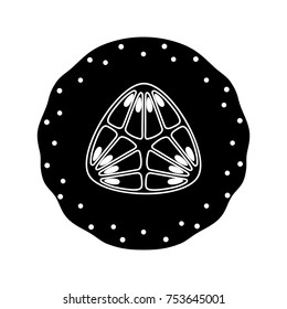 cantaloupe melon icon