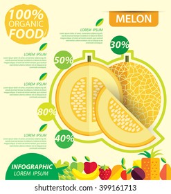 Cantaloupe melon. Infographic template. vector illustration.