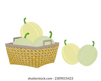 Cantaloupe melon on a white background.