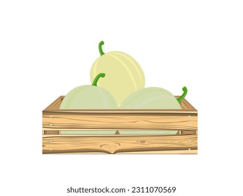 Cantaloupe melón sobre fondo blanco.