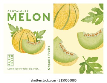 Cantaloupe Melon packaging design templates, watercolour style vector illustration.	
