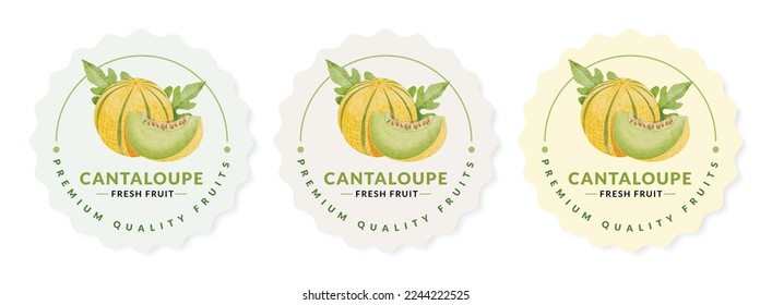 Cantaloupe Melon packaging design templates, watercolour style vector illustration.