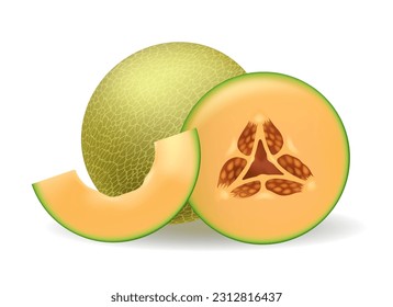 Cantaloupe melon realistic image. Green skin and orange flesh cantaloupes slice half and whole isolated on white background, fruit melons pieces 3d vector illustration