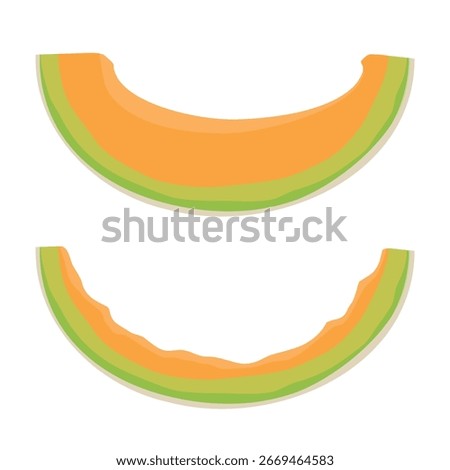Cantaloupe melon rind isolated white background, set of slice and rind. Vector illustration
