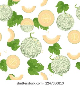 cantaloupe or melon seamless pattern, vector background.