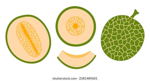 Cantaloupe melon set. Ripe fruit pieces, halved slices, whole melon, seed. Collection of organic vitamins and healthy nutrition. Flat Vector illustration isolated on white background