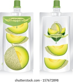 cantaloupe melon. vector illustration