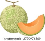 Cantaloupe Melon Whole and Slice Fresh Fruit 