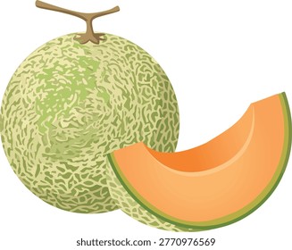 Cantaloupe Melon Whole and Slice Fresh Fruit 