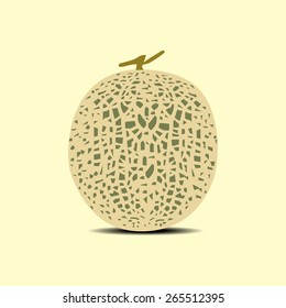 cantaloupe melon.Vectors