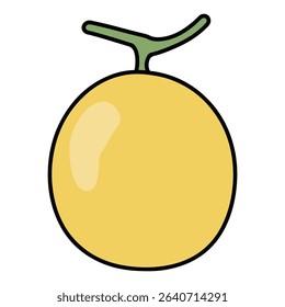 Cantaloupe, Muskmelon vector illustration, simple design
