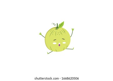 Ilustración de frutas del vector de objetos Cantaloupe