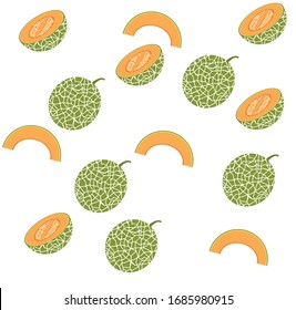 Cantaloupe on white background. Vector illustration