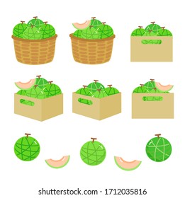 Cantaloupe Vector on white background