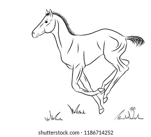 Cantering foal on white background, vector illustration.