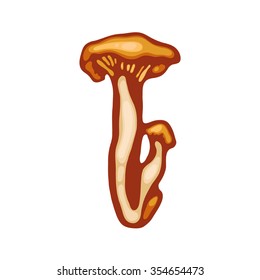 Cantharellus cibarius. Edible mushrooms.