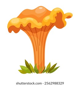 Cantharellus cibarius mushroom, golden chanterelle. Edible forest mushroom. Forest grass and leaves. Cartoon vector illustration on a white background.