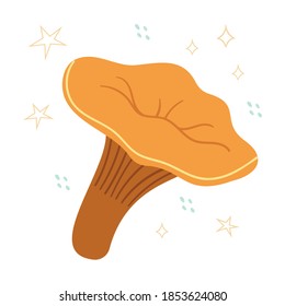 Cantharellus cibarius sobre un fondo blanco. Raw fresco chantarelas setas. Cosecha forestal.